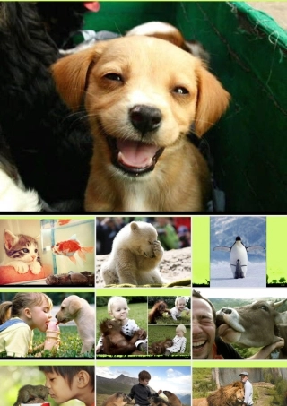 第4课 动物朋友（一）（课件）苏少版美术二年级下册 .pptx