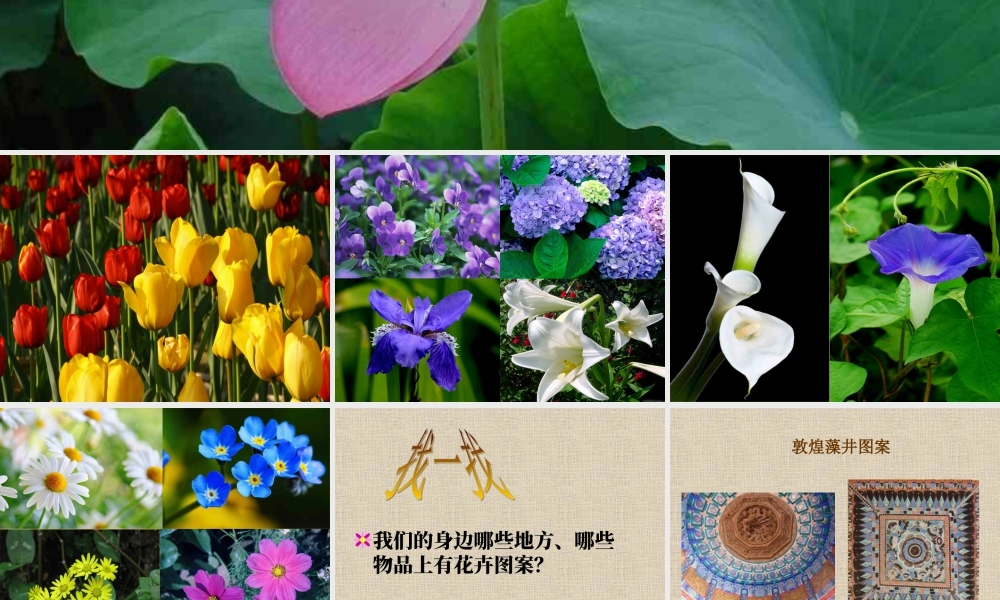 第13课 会变的花、树、叶（课件）苏少版美术二年级下册.pptx