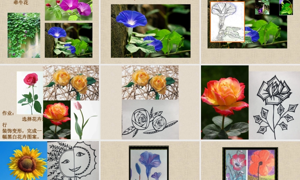 第13课 会变的花、树、叶（课件）苏少版美术二年级下册.pptx