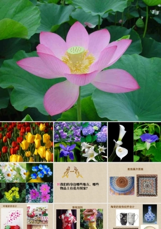 第13课 会变的花、树、叶（课件）苏少版美术二年级下册.pptx