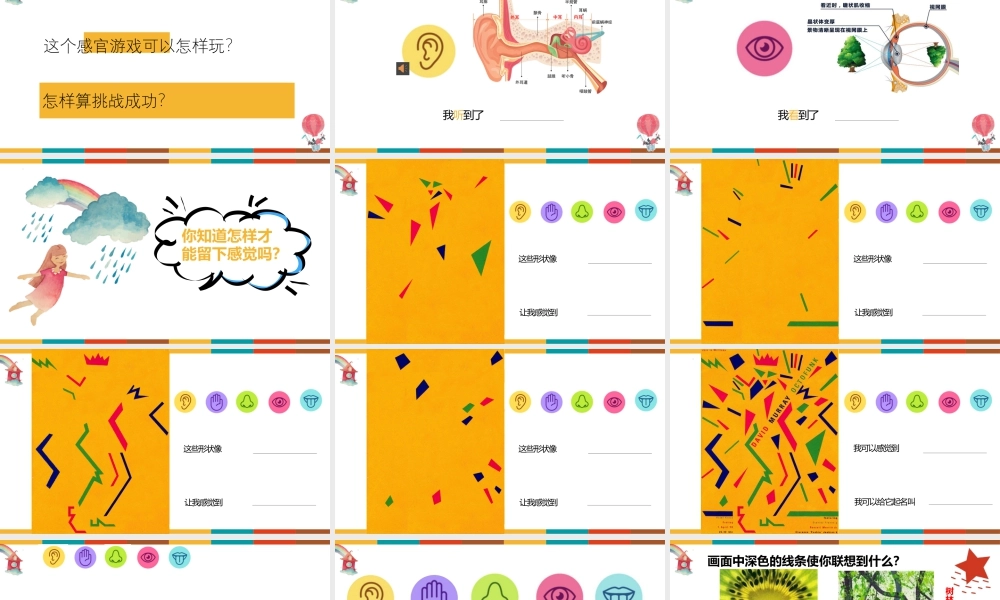 感官的秘密（课件）（2024）美术一年级上册.pptx