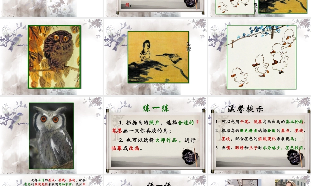 水墨画鸟（课件）-美术四年级下册  .pptx