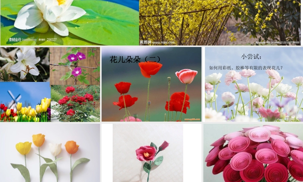 花儿朵朵（二）（课件）-美术二年级下册 .pptx