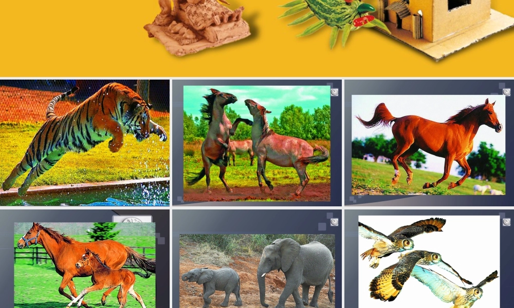 第12课 运动的动物 教学课件-六年级上册小学美术同步备课资源包（苏少版）.pptx