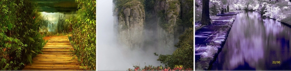 苏教小学美术五上《第4课风景如画一》PPT课件.ppt