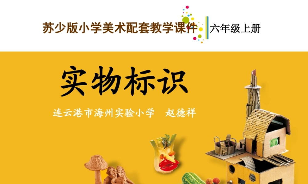 第17课 实物标识 教学课件-六年级上册小学美术同步备课资源包（苏少版）.pptx