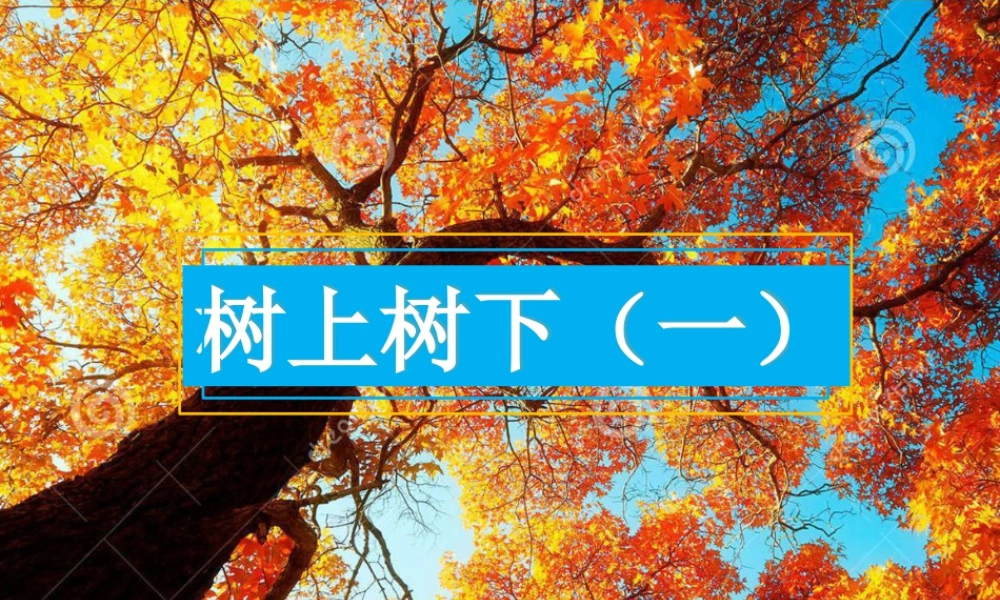第9课 树上树下（一）（课件）-美术二年级下册.pptx