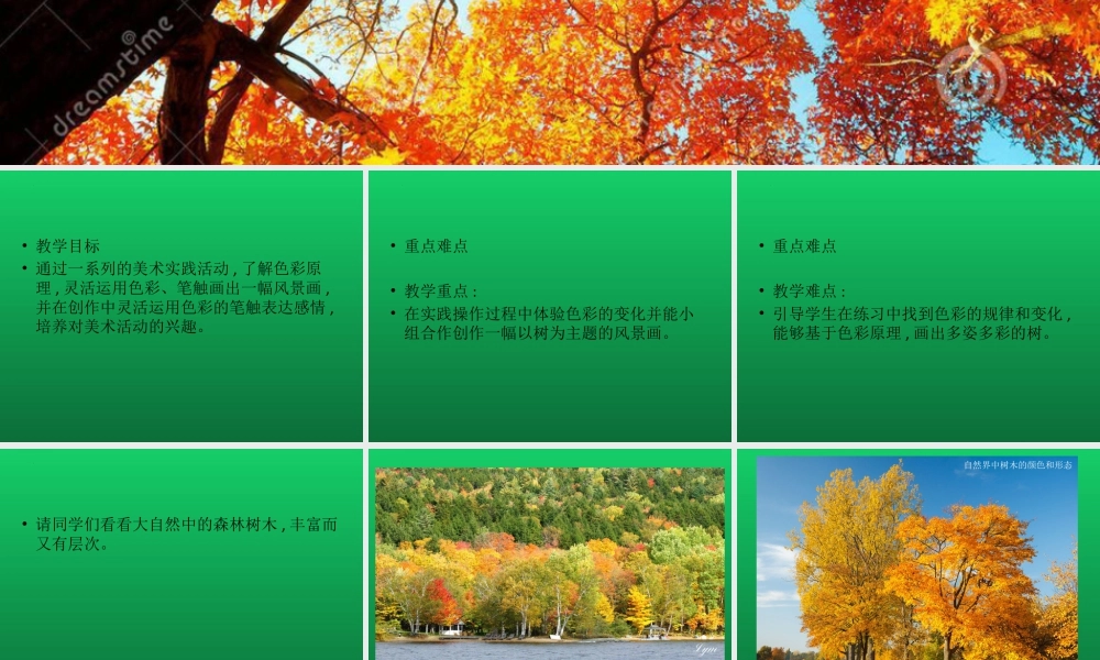 第9课 树上树下（一）（课件）-美术二年级下册.pptx