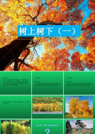 第9课 树上树下（一）（课件）-美术二年级下册.pptx