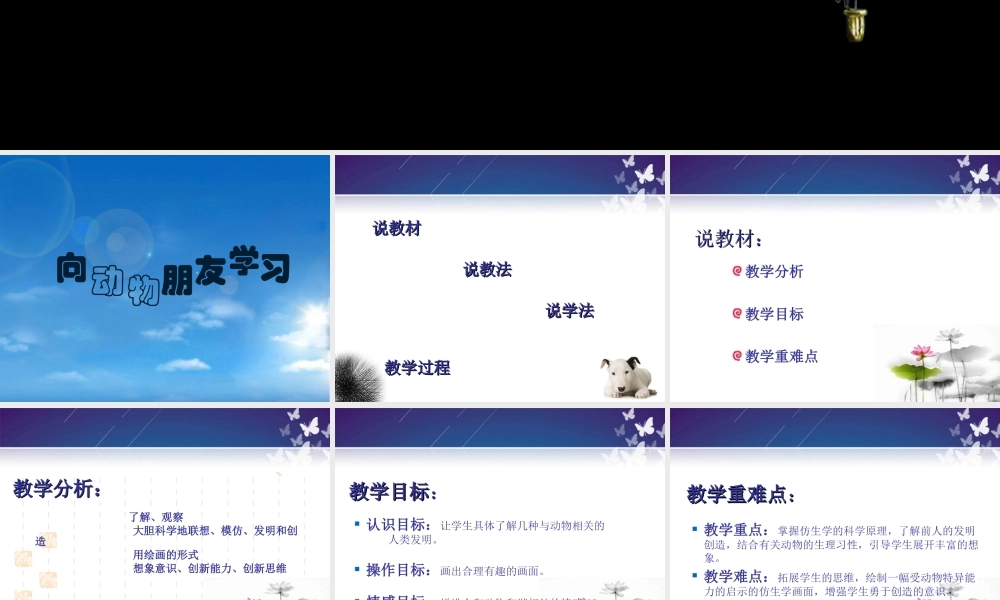 苏教小学美术六下《第6课向动物朋友学习》PPT课件.ppt