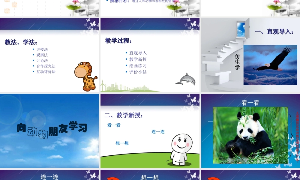 苏教小学美术六下《第6课向动物朋友学习》PPT课件.ppt