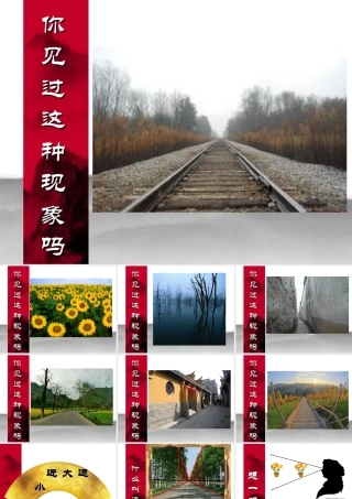 苏教小学美术五下《第1课近大远小》PPT课件.ppt