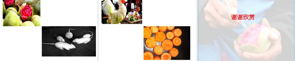 五年级上册美术课件－19  雕萝卜 ｜苏少版(共16张PPT).pptx