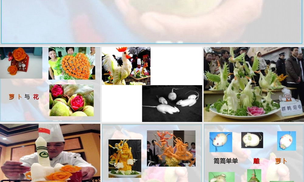 苏教小学美术五上《第19课雕萝卜》PPT课件.ppt