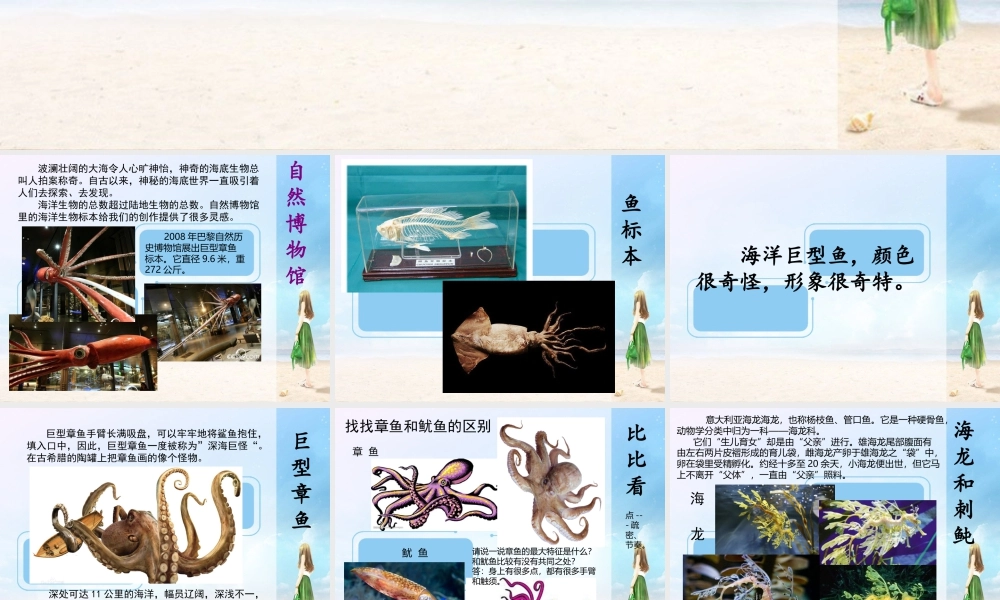 苏教小学美术四上《第7课海洋怪兽》PPT课件.ppt