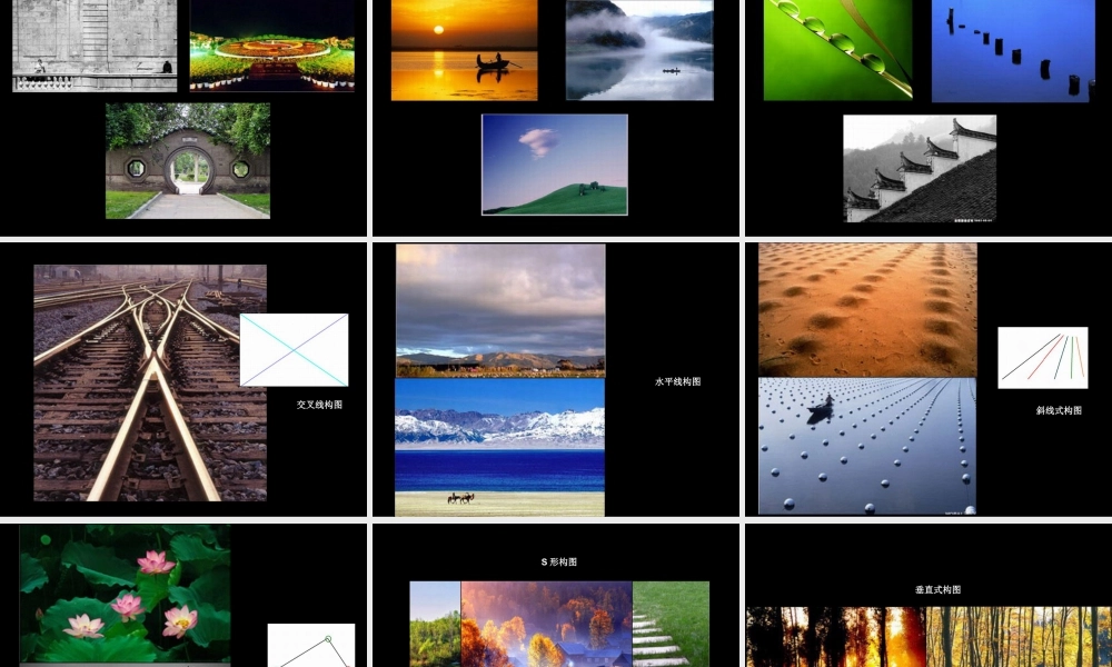 苏教小学美术四下《第13课最快的作品》PPT课件.ppt