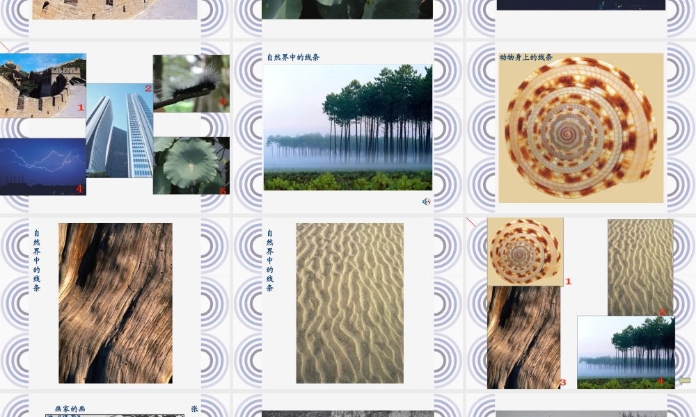 苏教小学美术五下《第3课线条的魅力》PPT课件 (2).ppt