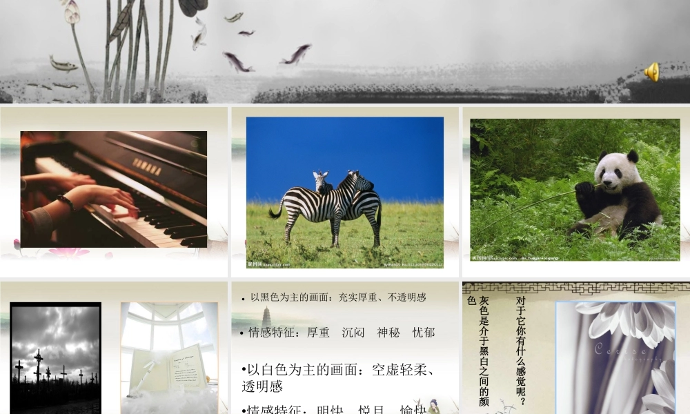 苏教小学美术四上《第10课黑白灰》PPT课件.ppt