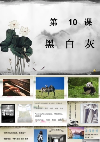 苏教小学美术四上《第10课黑白灰》PPT课件.ppt