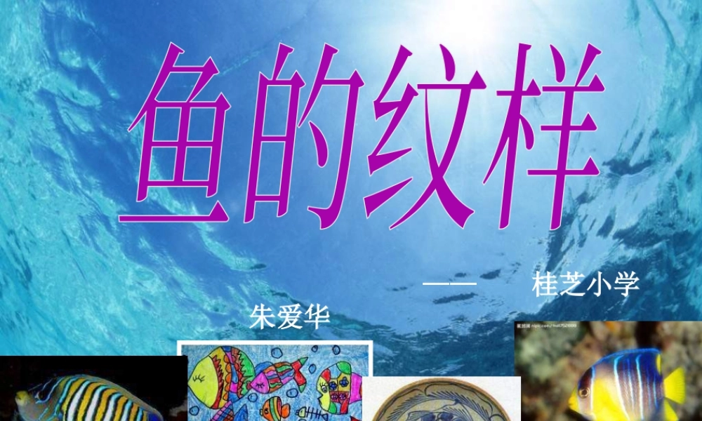 苏教小学美术四上《第9课鱼的纹样》PPT课件 (2).ppt
