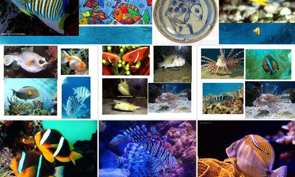 苏教小学美术四上《第9课鱼的纹样》PPT课件 (2).ppt