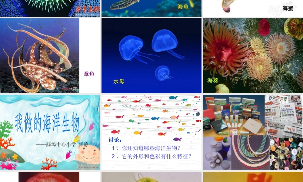 苏教小学美术四上《第8课做做海洋生物》PPT课件.ppt