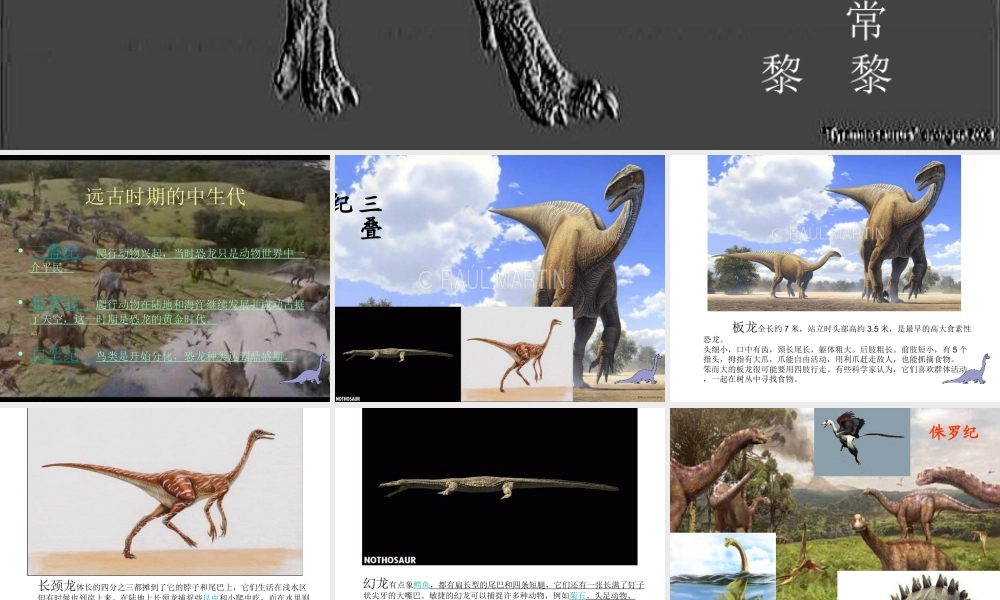 苏教小学美术三下《第14课远古的动物朋友》PPT课件.ppt