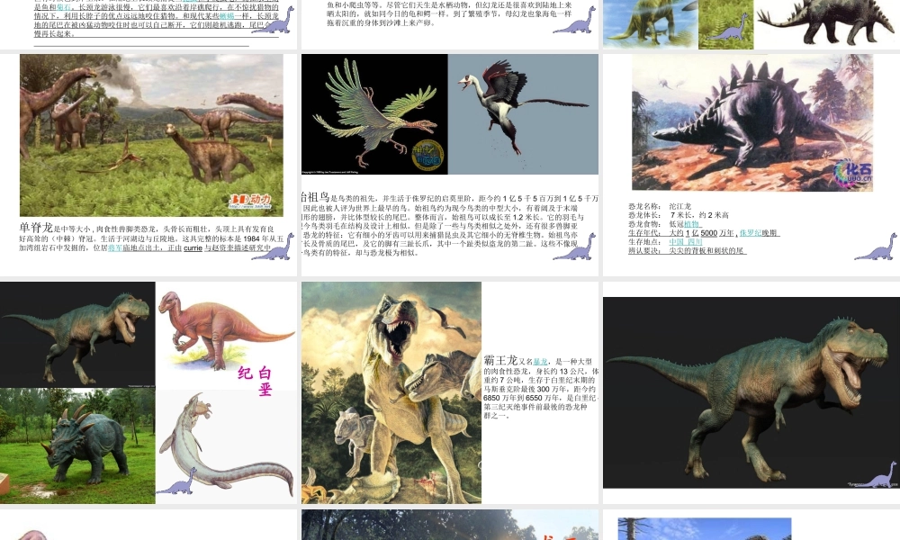 苏教小学美术三下《第14课远古的动物朋友》PPT课件.ppt