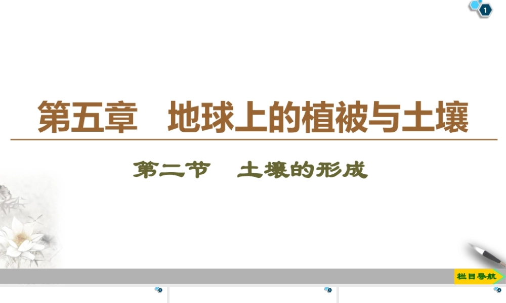 湘教版高中地理必修第一册课件-19-20 第5章 第2节　土壤的形成.ppt