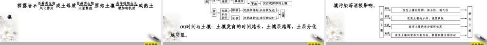 湘教版高中地理必修第一册课件-19-20 第5章 第2节　土壤的形成.ppt