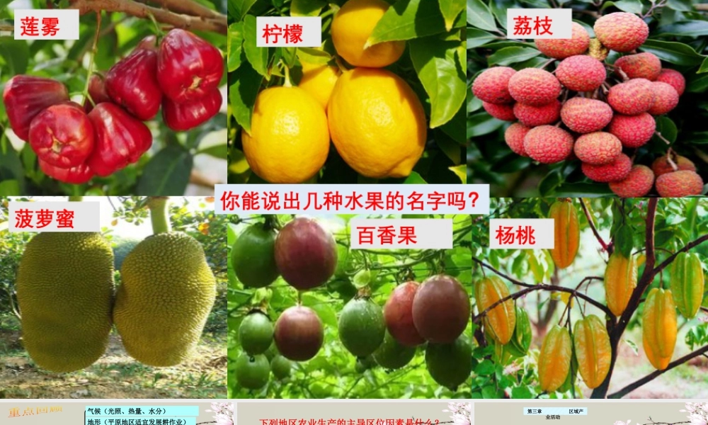 湘教版必修二第三章3.2农业地域类型(二）(共47张PPT).pptx