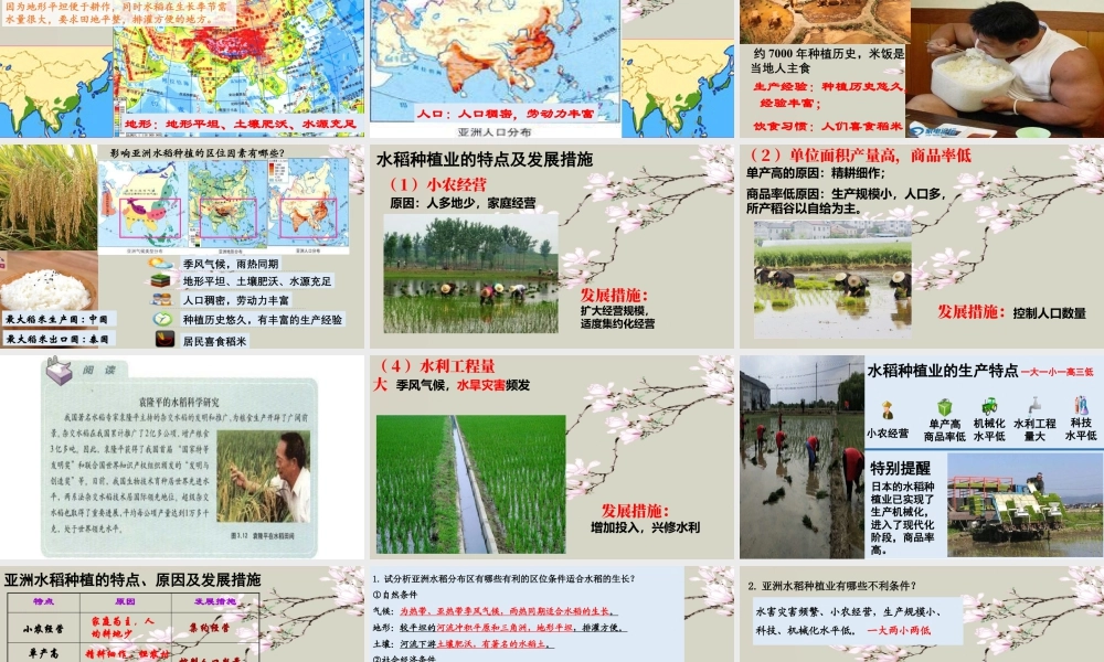 湘教版必修二第三章3.2农业地域类型(二）(共47张PPT).pptx