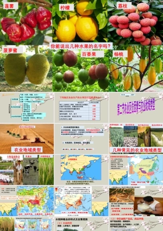 湘教版必修二第三章3.2农业地域类型(二）(共47张PPT).pptx