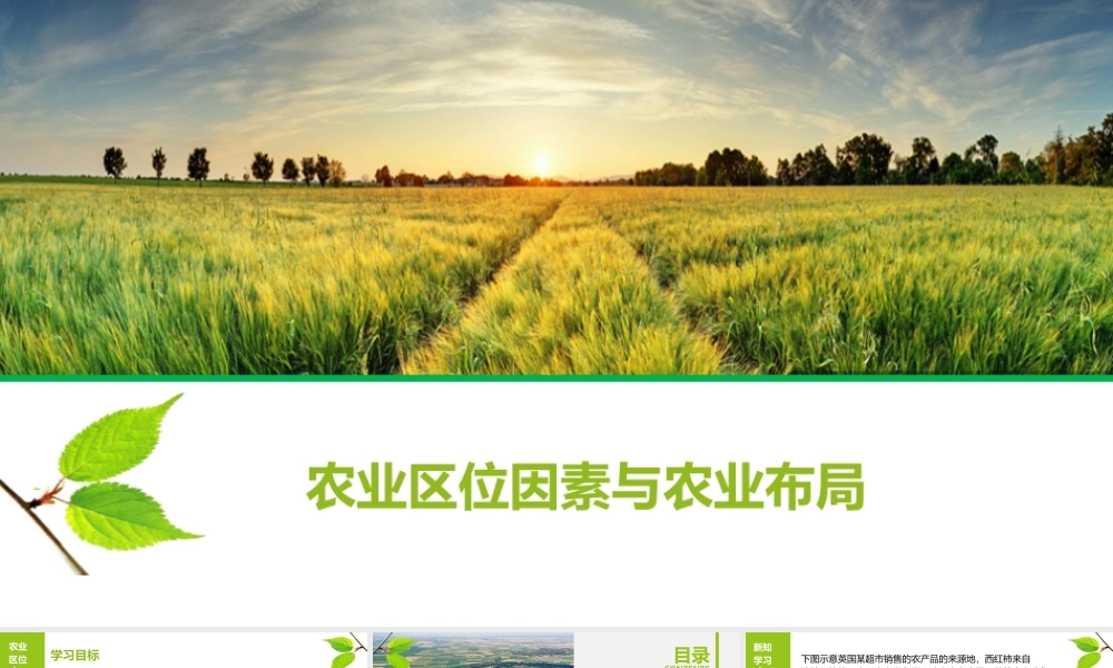 3.1农业区位因素与农业布局-名师课堂-优质课件-高一地理新教材湘教必修二.pptx