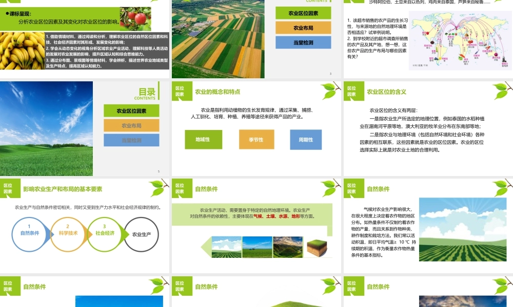 3.1农业区位因素与农业布局-名师课堂-优质课件-高一地理新教材湘教必修二.pptx