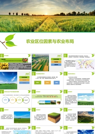 3.1农业区位因素与农业布局-名师课堂-优质课件-高一地理新教材湘教必修二.pptx