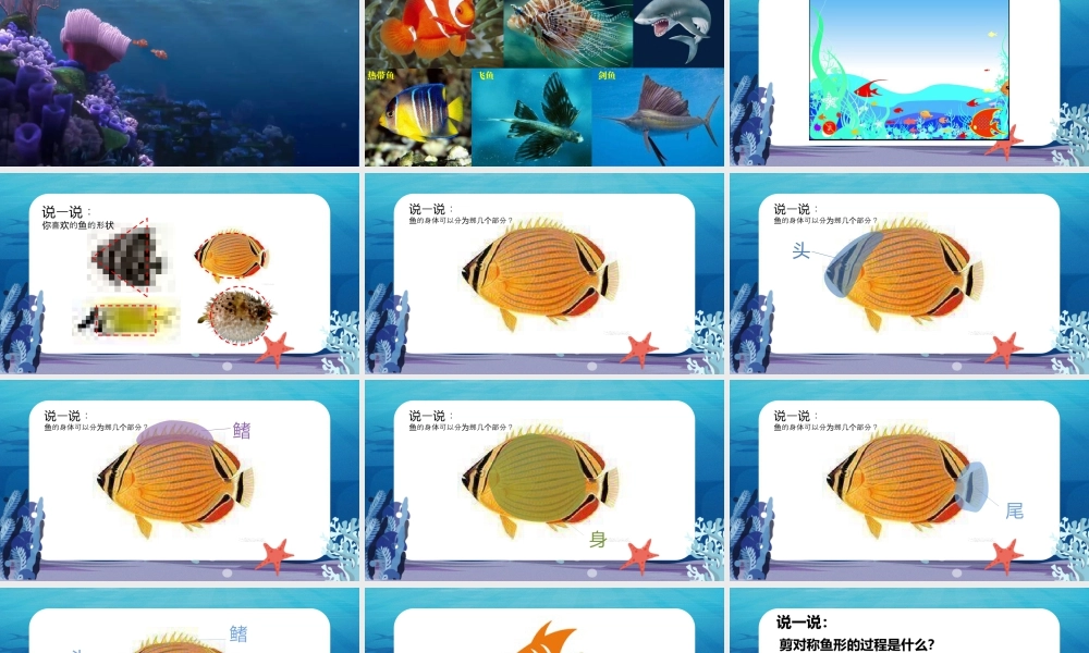 湘美版小学美术一年级下册-课时课件-一4.对称的鱼形.pptx