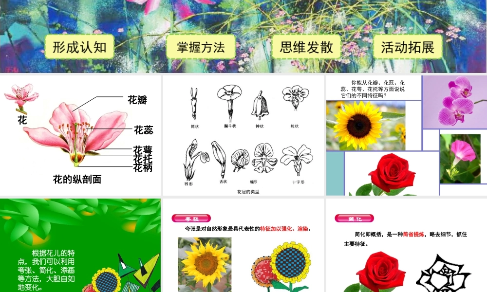 湘美版四年级美术上册-《花儿朵朵》精品课件.ppt