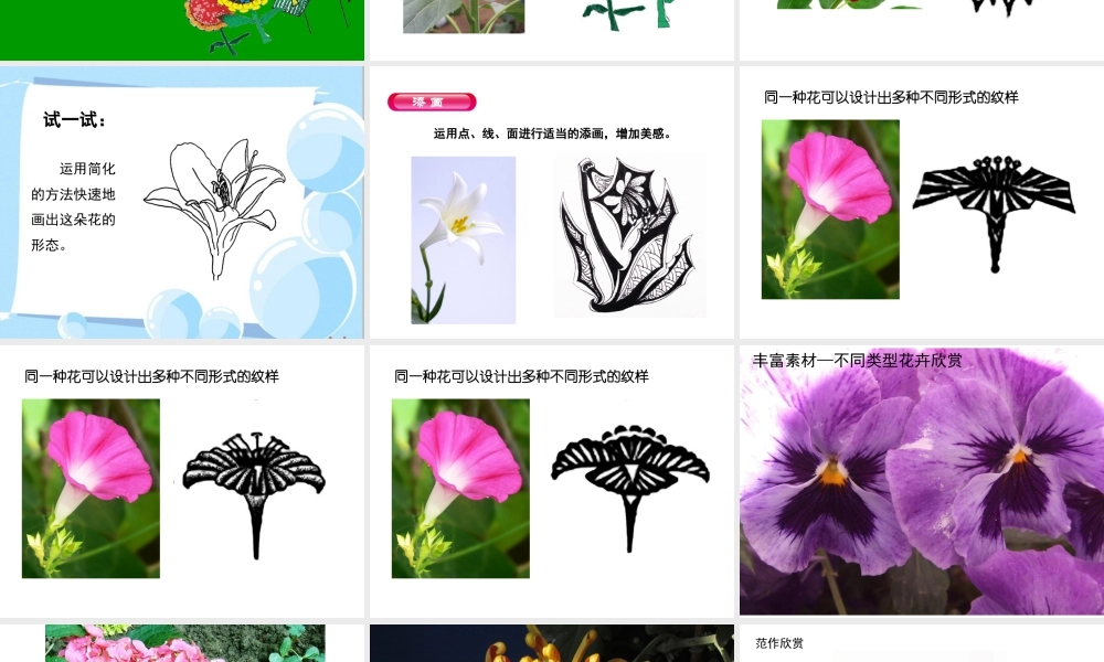 湘美版四年级美术上册-《花儿朵朵》精品课件.ppt