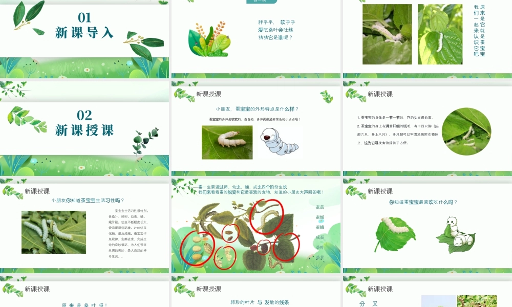 湘美版小学美术一年级上册-四1.桑叶和蚕宝宝.pptx