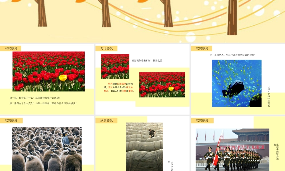 湘美版四年级美术上册-《一模不一样》精品课件.ppt