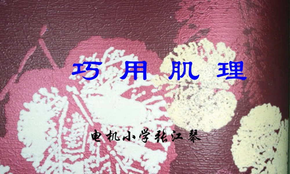 湘美版小学美术六年级下册-《巧用肌理》名师课件.ppt