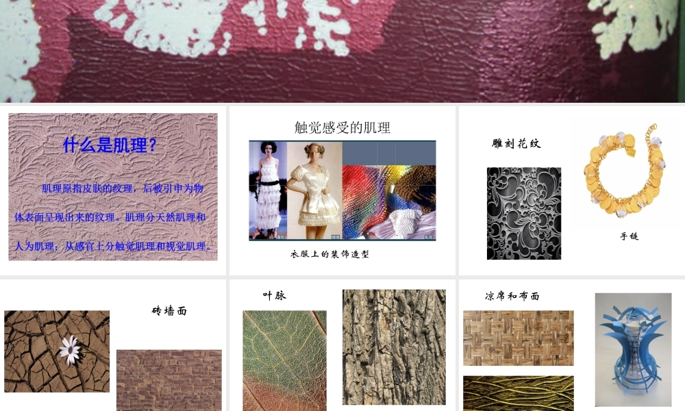 湘美版小学美术六年级下册-《巧用肌理》名师课件.ppt