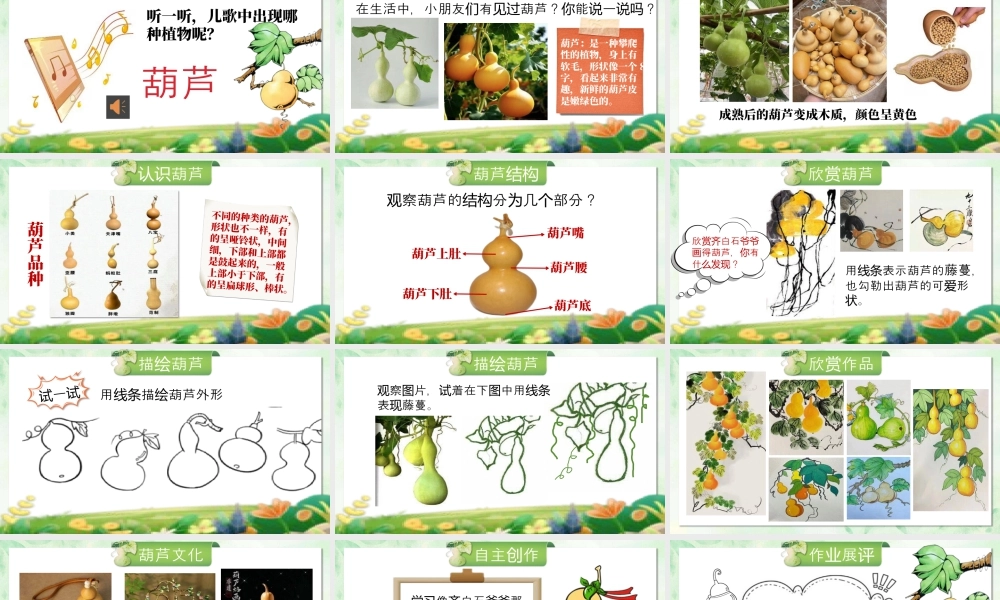 第1课 可爱的葫芦  课件(共14张PPT)小学美术湘美版（2024）一年级上册.pptx