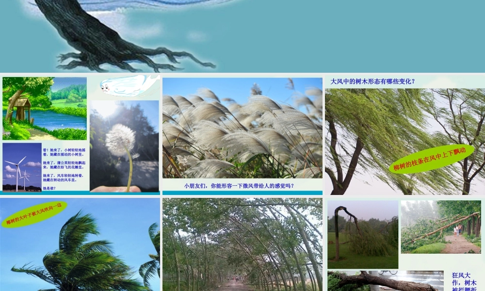 湘美版小学美术三年级下册-《风来了》精品课件.ppt