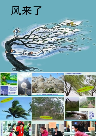 湘美版小学美术三年级下册-《风来了》精品课件.ppt