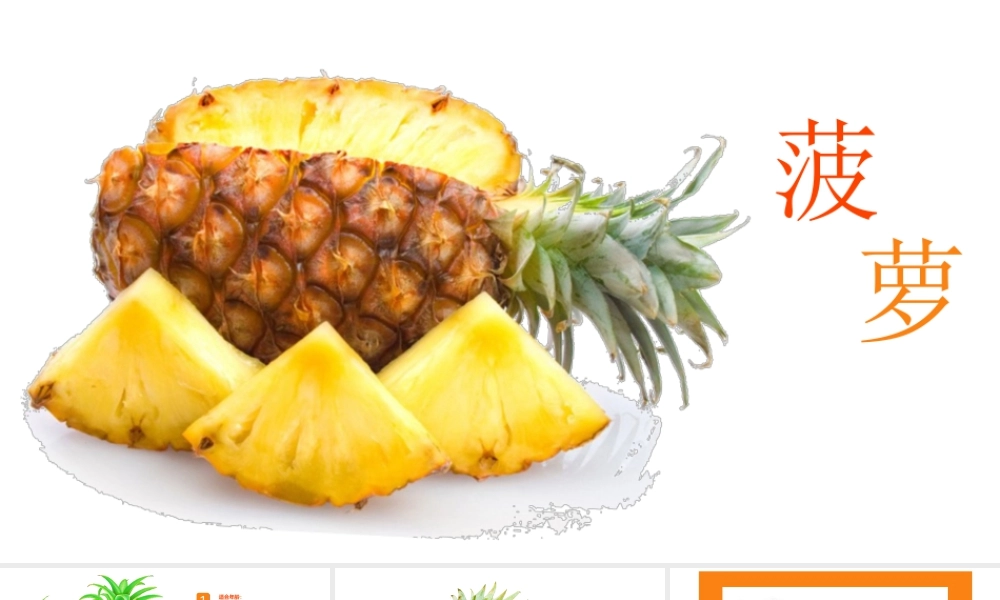 湘美版小学美术六年级下册-《菠萝的新外衣》创意课件.pptx