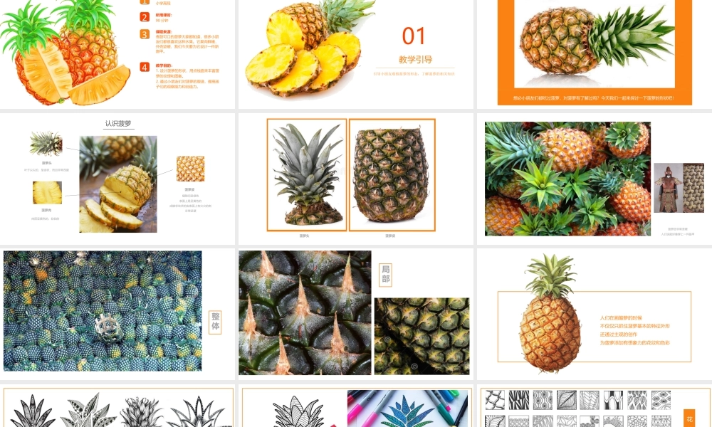 湘美版小学美术六年级下册-《菠萝的新外衣》创意课件.pptx