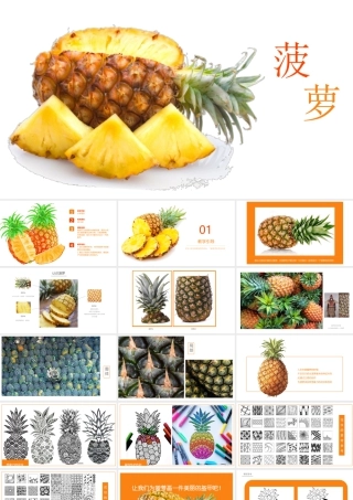 湘美版小学美术六年级下册-《菠萝的新外衣》创意课件.pptx