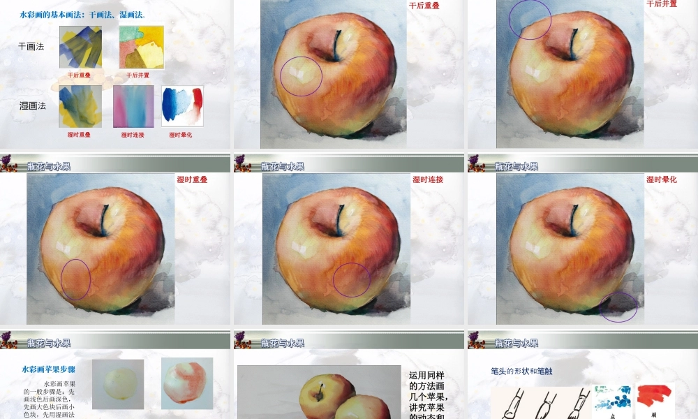 湘美版小学美术六年级下册-《瓶花与水果》精品课件.ppt